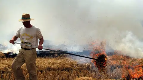 La Generalitat autoriza la quema de paja de arroz desde el 16 de septiembre por razones fitosanitarias La Generalitat autoriza la quema de paja de arroz desde el 16 de septiembre por razones fitosanitarias