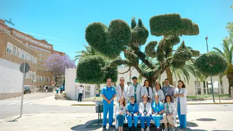 El Virgen del Rocío llega a su máximo histórico de trasplantes y donaciones el primer semestre de 2026 El Virgen del Rocío llega a su máximo histórico de trasplantes y donaciones el primer semestre de 2026