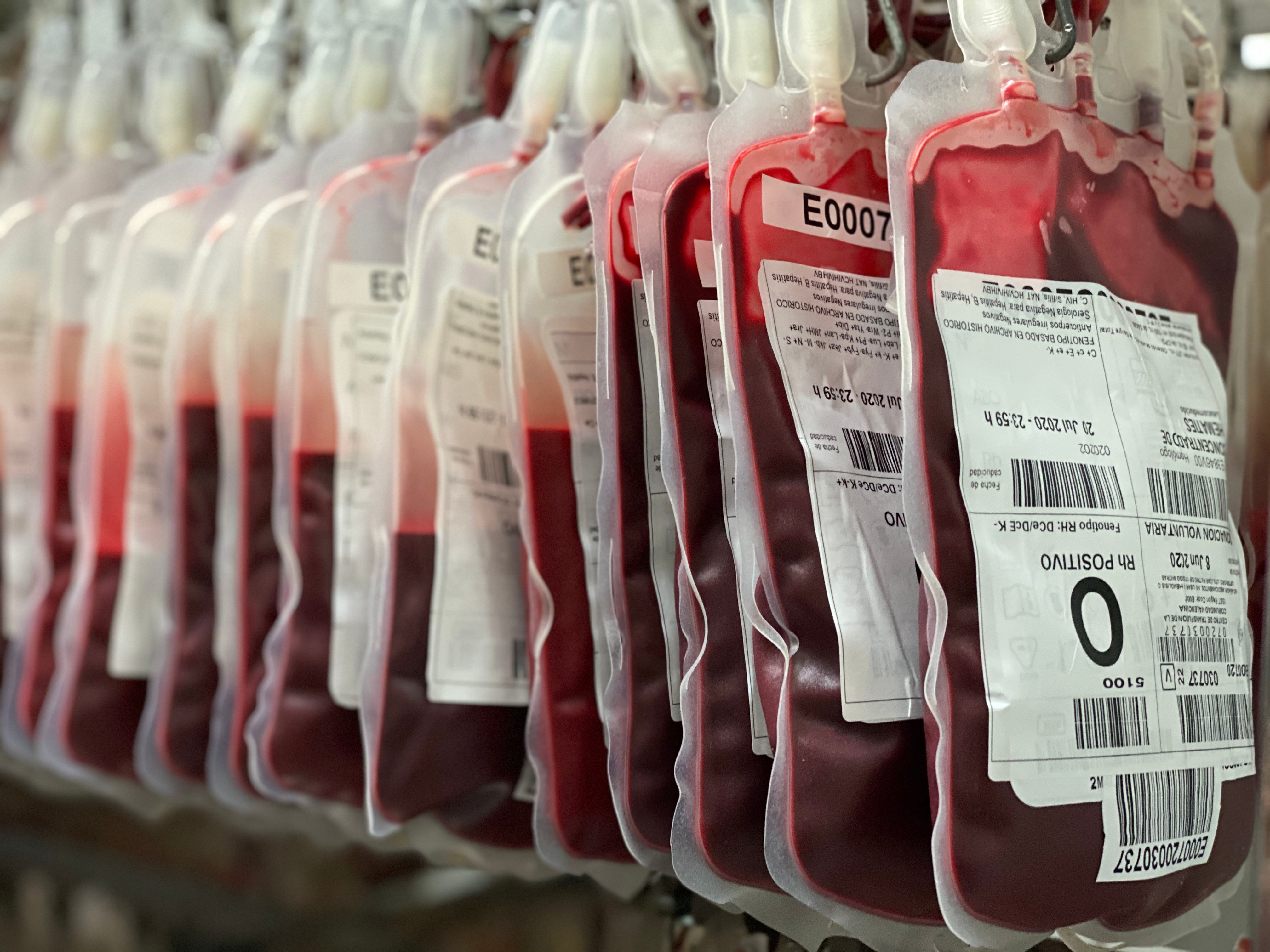 Castellón suma más de 2.100 donaciones de sangre este verano Castellón suma más de 2.100 donaciones de sangre este verano