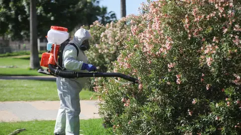 Andalucía eleva a 47 los casos de virus del Nilo tras detectar un nuevo caso grave en Dos Hermanas Andalucía eleva a 47 los casos de virus del Nilo tras detectar un nuevo caso grave en Dos Hermanas