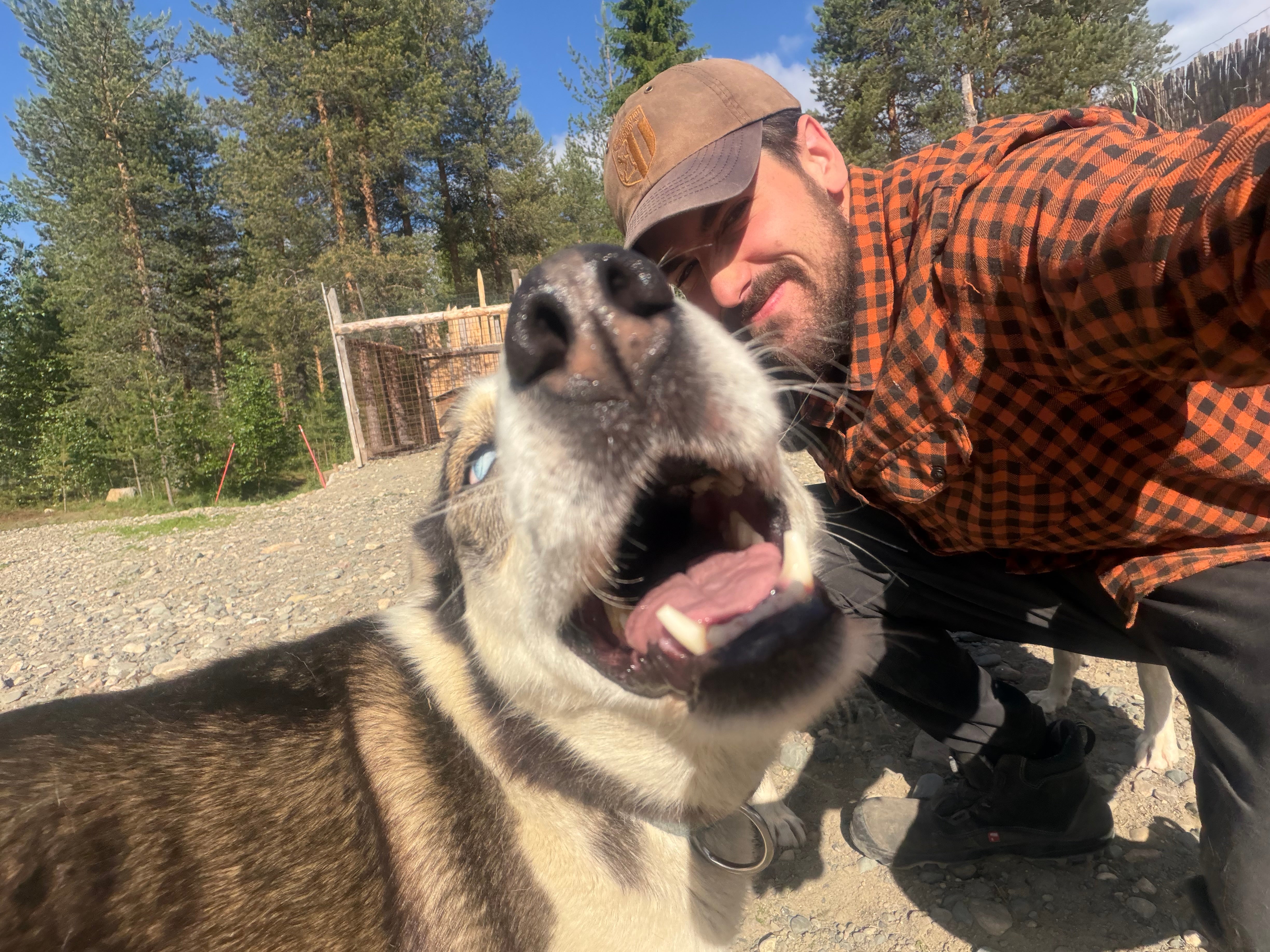 El Mundial de Abrazar Árboles se despide del bosque de Levi con participación española El Mundial de Abrazar Árboles se despide del bosque de Levi con participación española