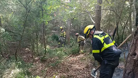 El fuego ha afectado a más de 18.000 hectáreas El fuego ha afectado a más de 18.000 hectáreas