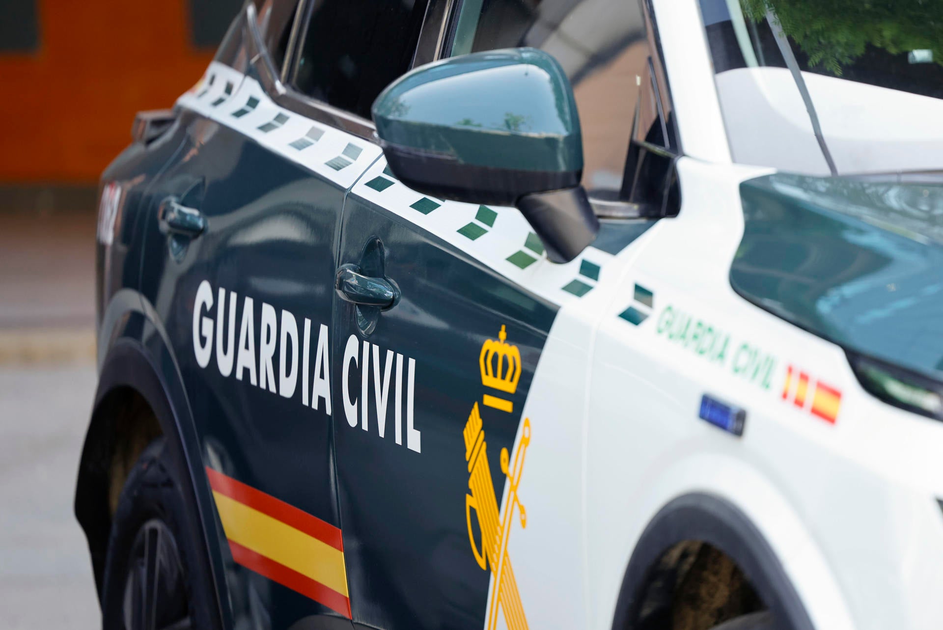 Detenido un joven por matar con un arma blanca a su tío en Massanassa Detenido un joven por matar con un arma blanca a su tío en Massanassa