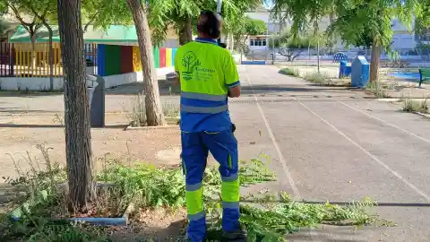 Benidorm realiza mejoras en la jardinería de 13 colegios antes del inicio del curso escolar Benidorm realiza mejoras en la jardinería de 13 colegios antes del inicio del curso escolar