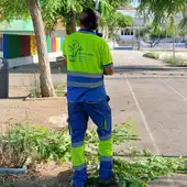 Benidorm realiza mejoras en la jardinería de 13 colegios antes del inicio del curso escolar Benidorm realiza mejoras en la jardinería de 13 colegios antes del inicio del curso escolar