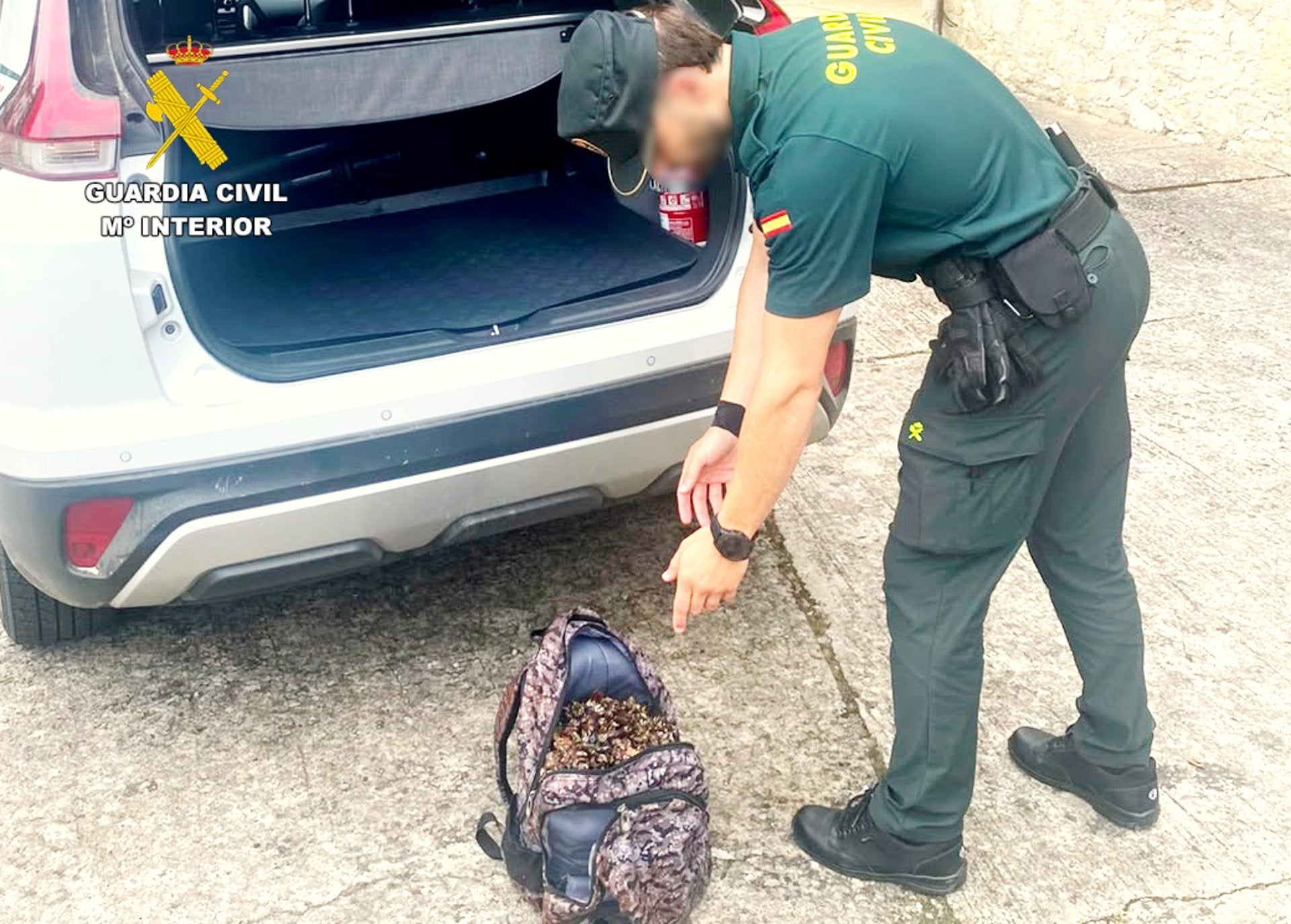 Sorprendidos dos pescadores furtivos con más de 16 kilos de percebes en la costa de Santillana Sorprendidos dos pescadores furtivos con más de 16 kilos de percebes en la costa de Santillana