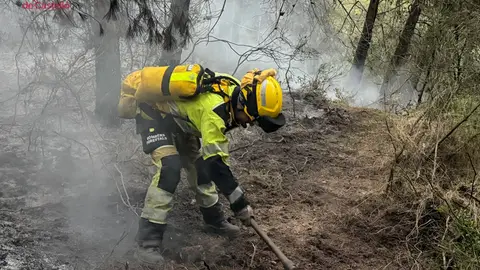 Incendio de Segorbe: el fuego avanza hacia la Sierra Calderona y ya afecta a 133 hectáreas. Incendio de Segorbe: el fuego avanza hacia la Sierra Calderona y ya afecta a 133 hectáreas.
