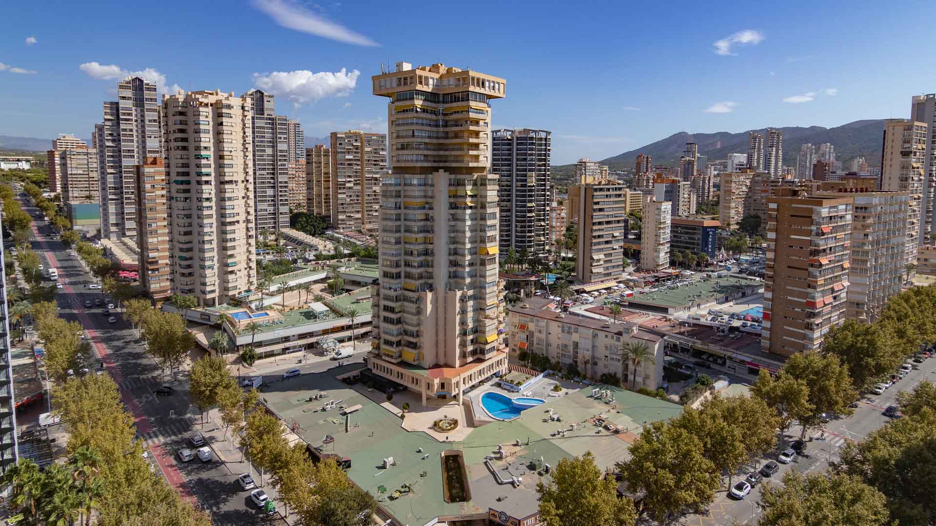Benidorm invertirá 100.000 euros en plantar 400 árboles en el último trimestre para crear más zonas de sombra y paliar el efecto ‘isla de calor’ Benidorm invertirá 100.000 euros en plantar 400 árboles en el último trimestre para crear más zonas de sombra y paliar el efecto ‘isla de calor’