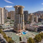 Benidorm invertirá 100.000 euros en plantar 400 árboles en el último trimestre para crear más zonas de sombra y paliar el efecto ‘isla de calor’