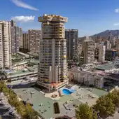Benidorm invertirá 100.000 euros en plantar 400 árboles en el último trimestre para crear más zonas de sombra y paliar el efecto ‘isla de calor’ Benidorm invertirá 100.000 euros en plantar 400 árboles en el último trimestre para crear más zonas de sombra y paliar el efecto ‘isla de calor’