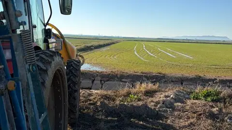 Producir alimentos en verano cuesta hasta un 90% más a los agricultores valencianos Producir alimentos en verano cuesta hasta un 90% más a los agricultores valencianos