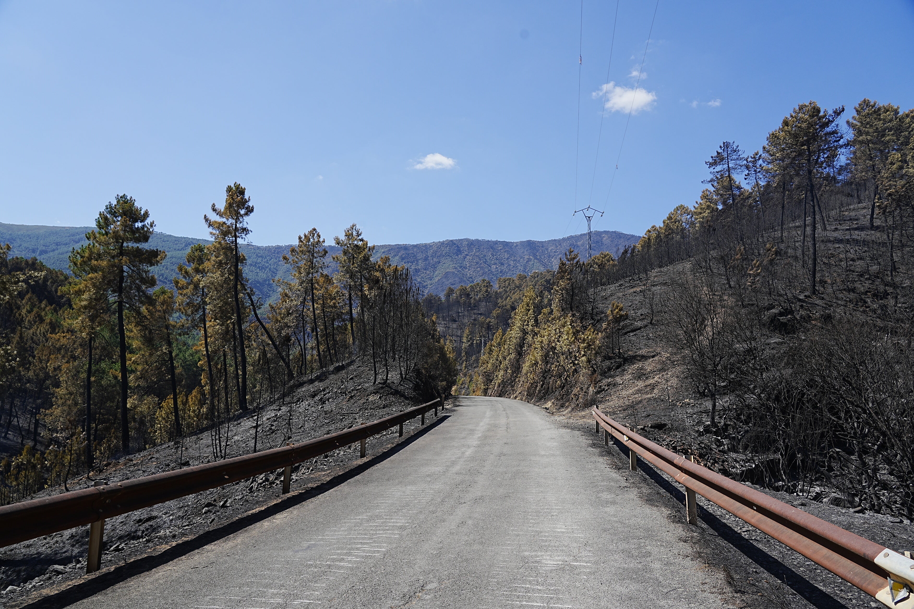 Vista del paisaje tras el paso del fuego, a 21 de agosto de 2026, en Nuñomoral, Cáceres, Extremadura Vista del paisaje tras el paso del fuego, a 21 de agosto de 2026, en Nuñomoral, Cáceres, Extremadura