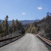 Vista del paisaje tras el paso del fuego, a 21 de agosto de 2026, en Nuñomoral, Cáceres, Extremadura/ Carlos Criado / Europa Press
