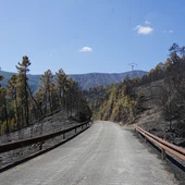 Vista del paisaje tras el paso del fuego, a 21 de agosto de 2026, en Nuñomoral, Cáceres, Extremadura/ Carlos Criado / Europa Press Vista del paisaje tras el paso del fuego, a 21 de agosto de 2026, en Nuñomoral, Cáceres, Extremadura/ Carlos Criado / Europa Press