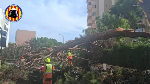 Daños del tren de tormentas en la Ribera Daños del tren de tormentas en la Ribera