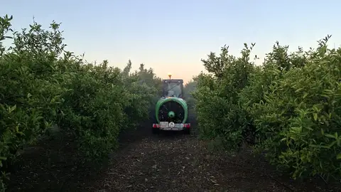 LA UNIÓ alerta del elevado coste de producir alimentos en verano LA UNIÓ alerta del elevado coste de producir alimentos en verano