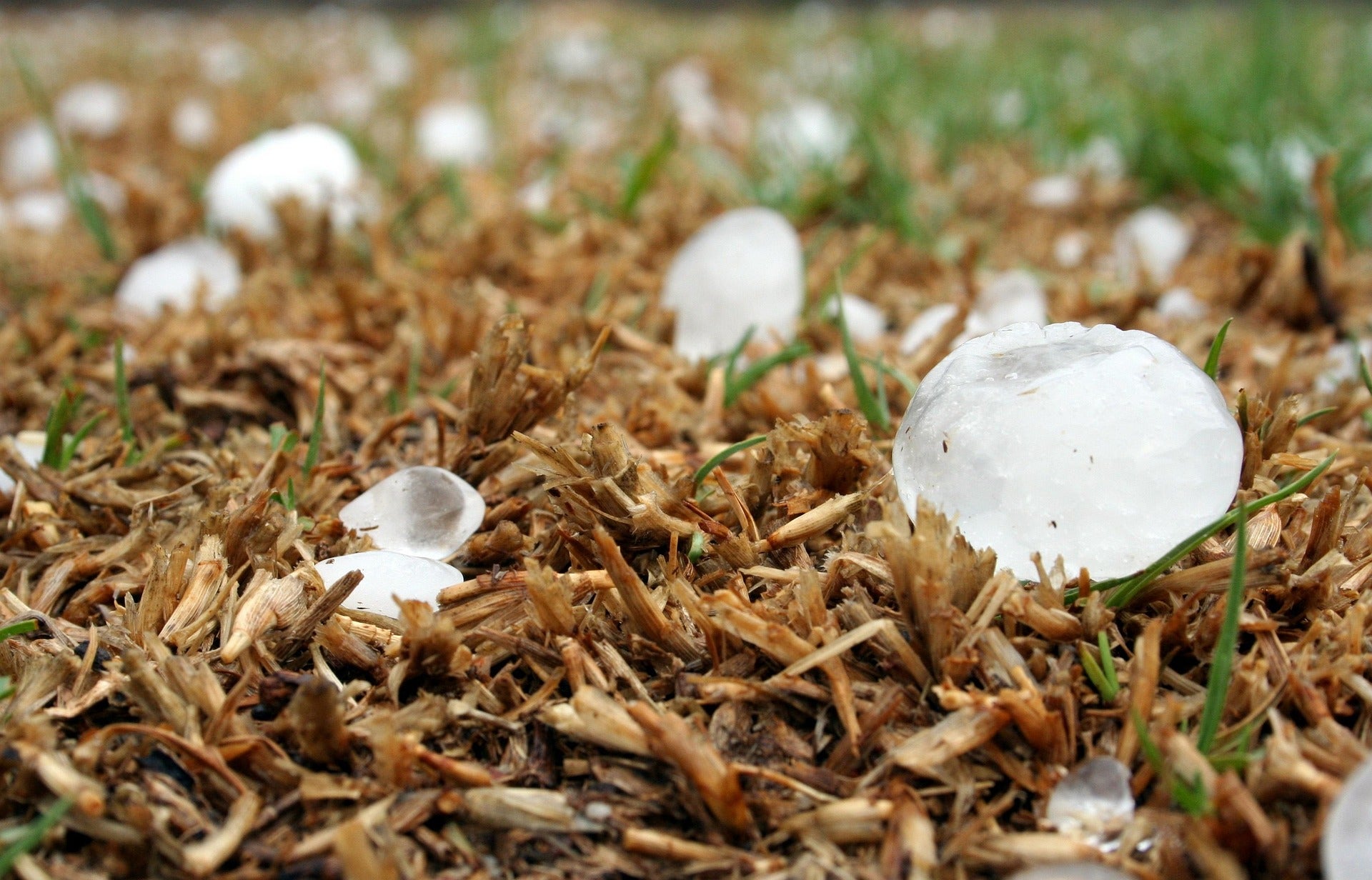 El granizo y fuerte viento provoca daños en cosechas del Bajo Aragón El granizo y fuerte viento provoca daños en cosechas del Bajo Aragón