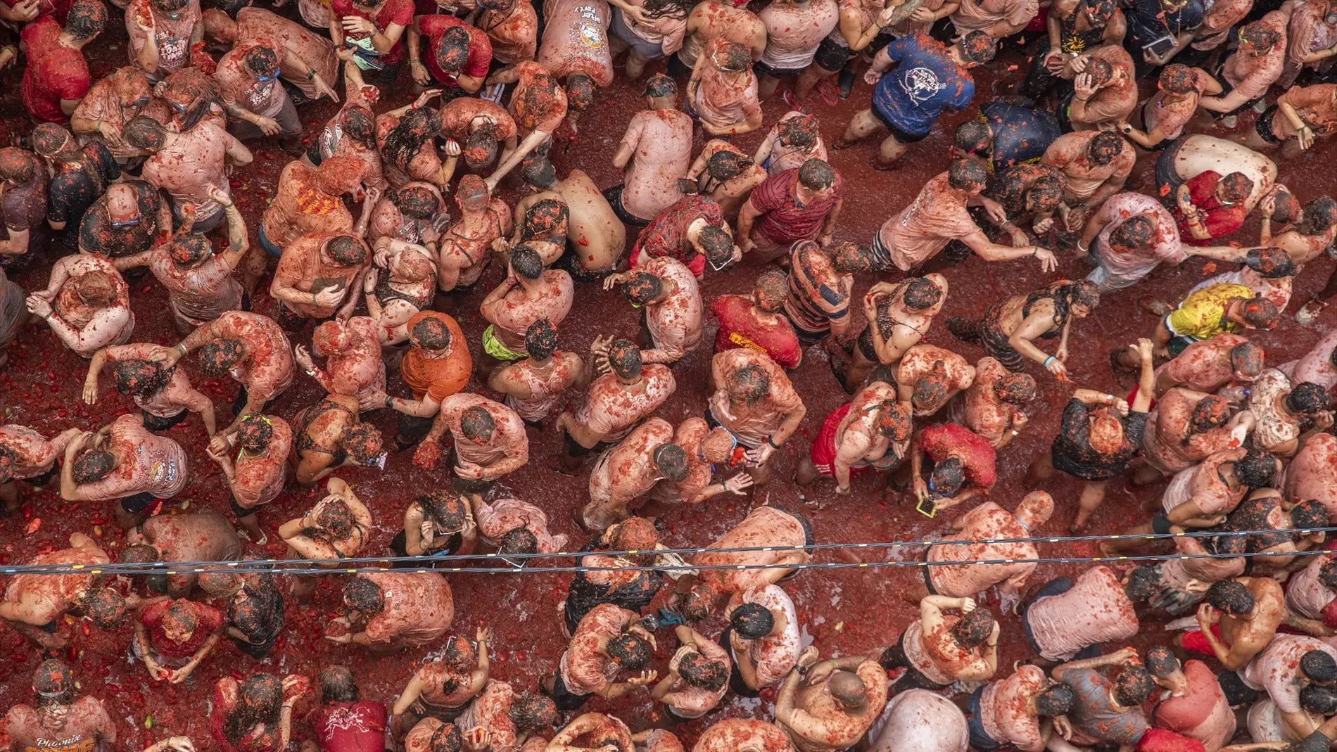 Más de 150 toneladas de tomate se preparan para La Tomatina de Buñol Más de 150 toneladas de tomate se preparan para La Tomatina de Buñol