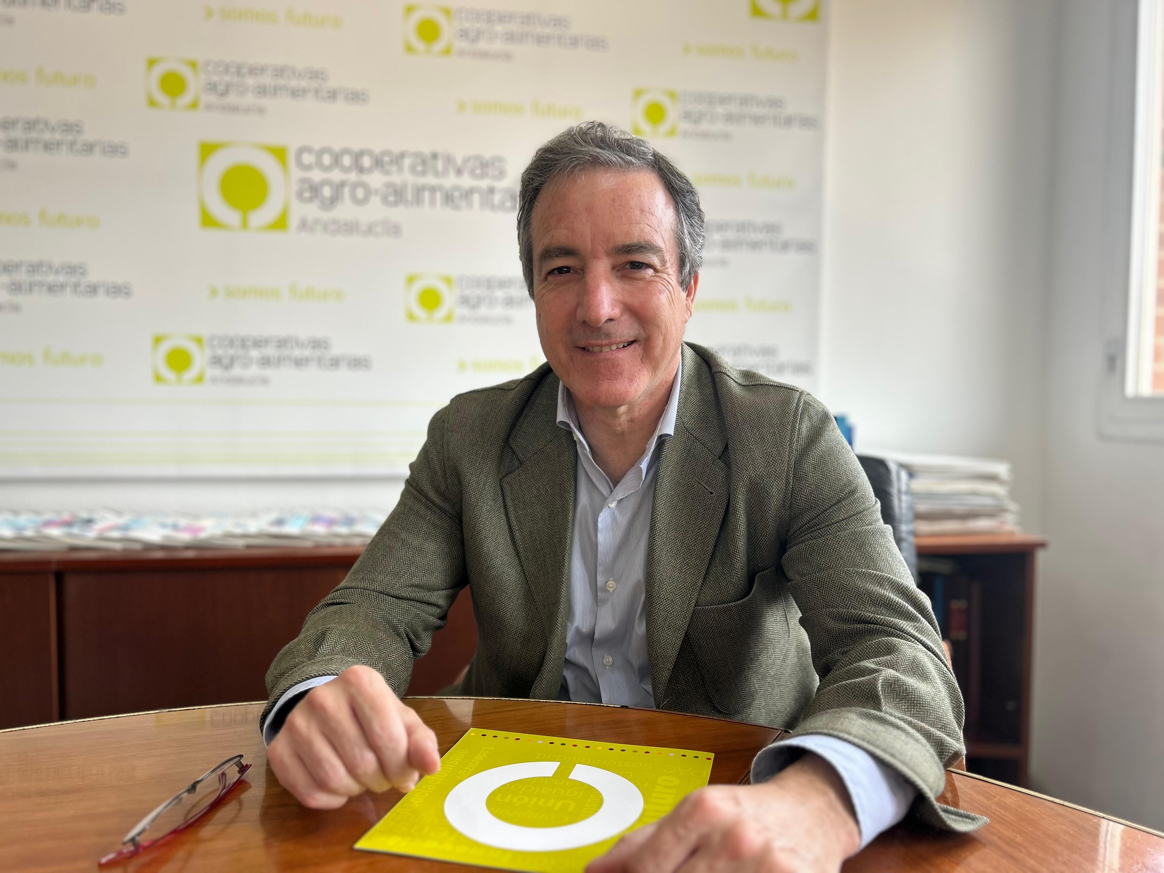 Aceite de oliva: La oportunidad para liderar no sólo la producción, sino la comercialización Aceite de oliva: La oportunidad para liderar no sólo la producción, sino la comercialización