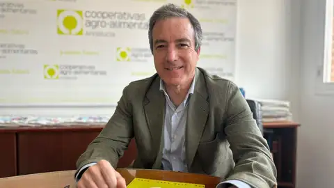 Aceite de oliva: La oportunidad para liderar no sólo la producción, sino la comercialización Aceite de oliva: La oportunidad para liderar no sólo la producción, sino la comercialización