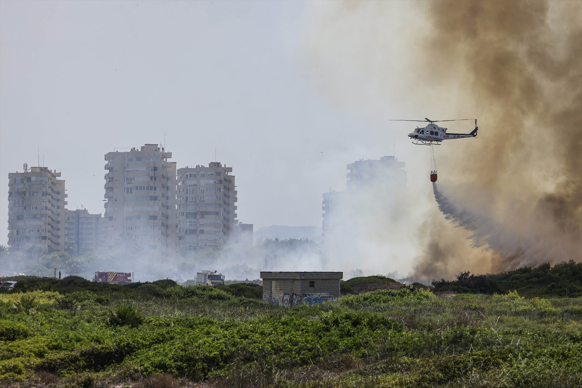 El incendio forestal de El Saler mantiene cortada la carretera CV-500 El incendio forestal de El Saler mantiene cortada la carretera CV-500