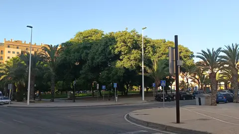 Parque en Elche. Parque en Elche.