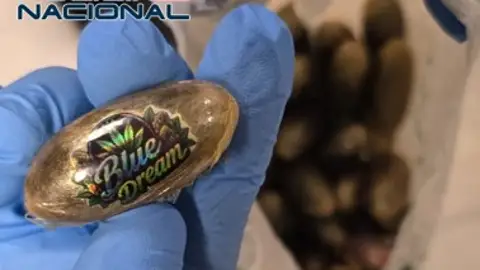 Detenido en Motril tras huir con una mochila que contenía 3,4 kilos de bellotas de hachís Detenido en Motril tras huir con una mochila que contenía 3,4 kilos de bellotas de hachís