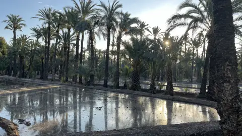 El Plan Director de Aigües d’Elx va a avanzar en los próximos meses hacia la ejecución de proyectos en Polígono de Carrús, EL-20 y la Universidad Miguel Hernández. El Plan Director de Aigües d’Elx va a avanzar en los próximos meses hacia la ejecución de proyectos en Polígono de Carrús, EL-20 y la Universidad Miguel Hernández.