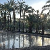 El Plan Director de Aigües d’Elx va a avanzar en los próximos meses hacia la ejecución de proyectos en Polígono de Carrús, EL-20 y la Universidad Miguel Hernández.