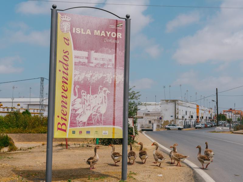 Isla Mayor invierte cuatro millones de euros para recuperar patrimonio y conservar espacios naturales Isla Mayor invierte cuatro millones de euros para recuperar patrimonio y conservar espacios naturales