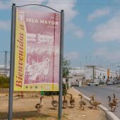 Turismo Isla Mayor