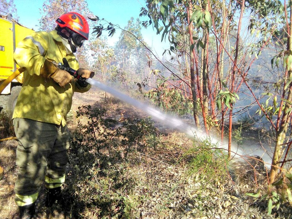 El Plan Infoex interviene en 19 incendios forestales en la última semana, trece en Badajoz y seis en Cáceres El Plan Infoex interviene en 19 incendios forestales en la última semana, trece en Badajoz y seis en Cáceres