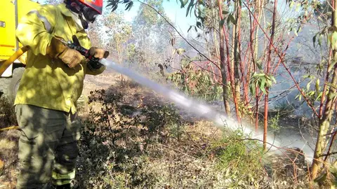 El Plan Infoex interviene en 19 incendios forestales en la última semana, trece en Badajoz y seis en Cáceres El Plan Infoex interviene en 19 incendios forestales en la última semana, trece en Badajoz y seis en Cáceres