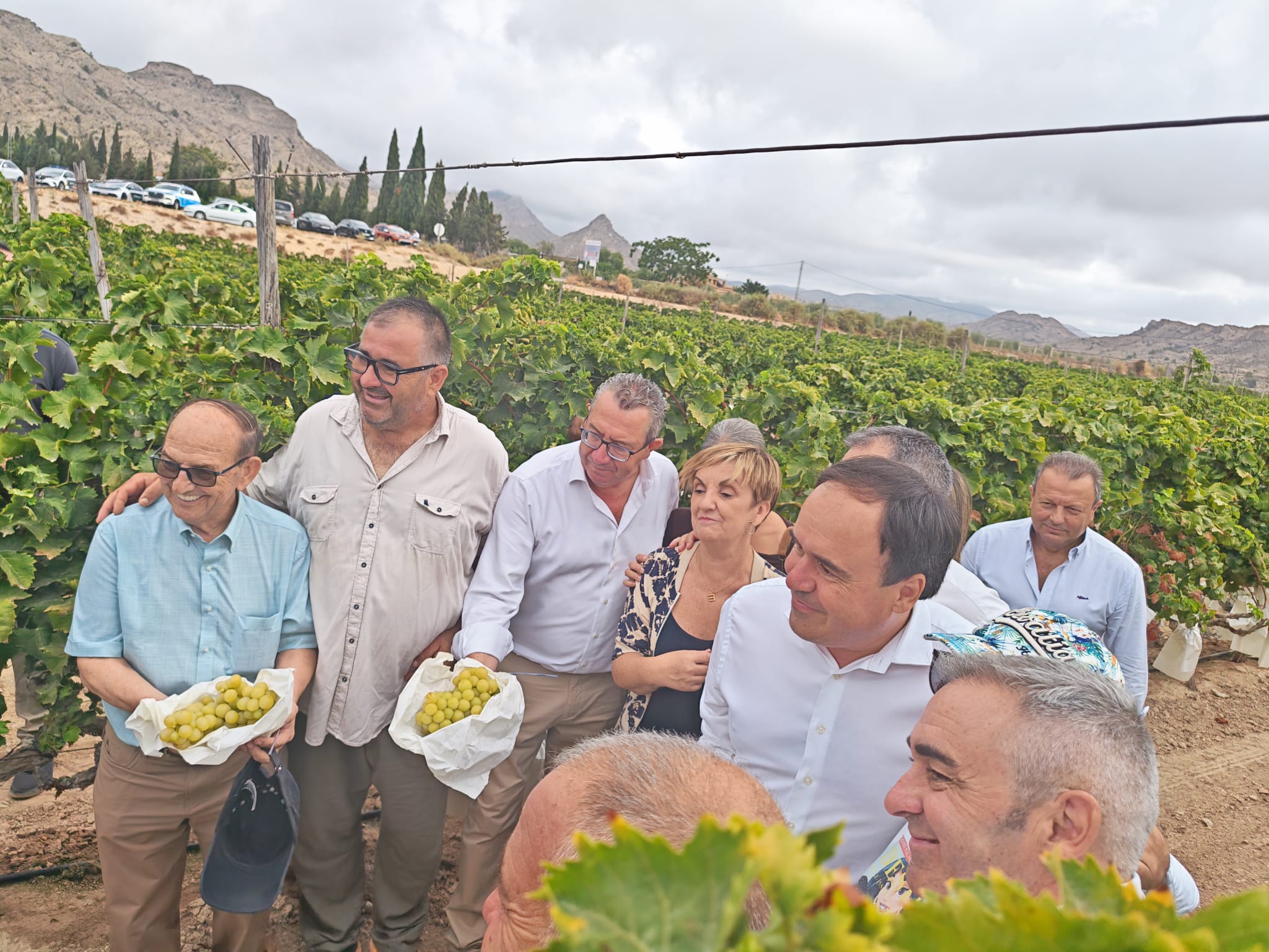 Los agricultores del Vinalopó arrancan la recolección de uva con optimismo y reclamando precios acordes a su calidad Los agricultores del Vinalopó arrancan la recolección de uva con optimismo y reclamando precios acordes a su calidad