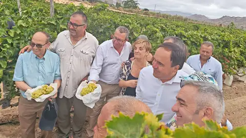 Acto del corte simbólico del primer racimo de uva de mesa embolsada del Vinalopo de la temporada 2026. Acto del corte simbólico del primer racimo de uva de mesa embolsada del Vinalopo de la temporada 2026.
