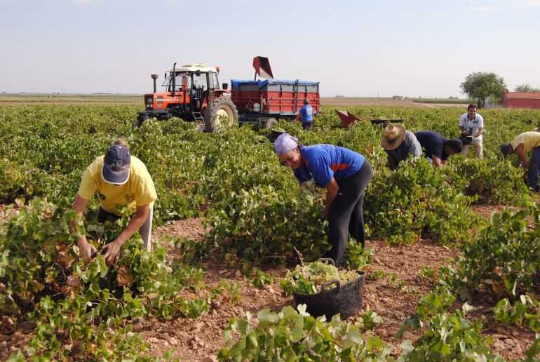 Agosto deja 311 parados más en Ciudad Real y solo agricultura aguanta el descenso del desempleo Agosto deja 311 parados más en Ciudad Real y solo agricultura aguanta el descenso del desempleo