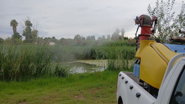 La Diputación mantiene bajo control las poblaciones de mosquitos este verano en Castelló