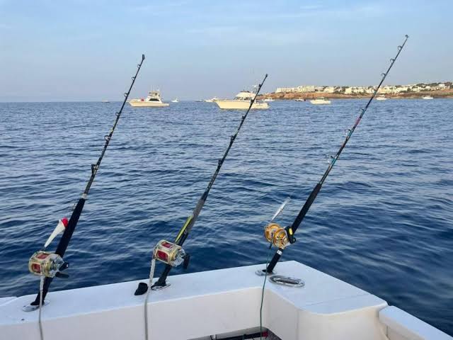 La Cofradía de Pescadores de Maó cierra una buena temporada de langosta pese al recorte de la flota y la presión normativa La Cofradía de Pescadores de Maó cierra una buena temporada de langosta pese al recorte de la flota y la presión normativa