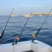 Buena temporada pesquera peses a las dificultades. Buena temporada pesquera peses a las dificultades.
