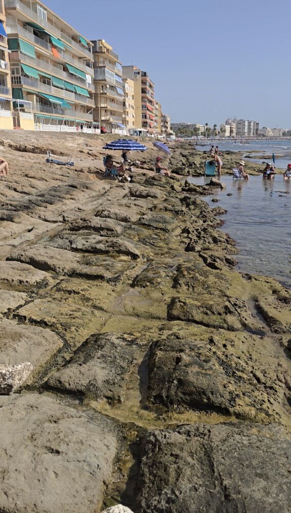 Restos arqueológicos en la playa de Los Náufragos de Torrevieja