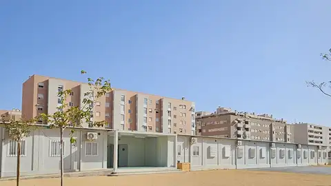 Los pocos árboles que hay no han crecido todavía Los pocos árboles que hay no han crecido todavía