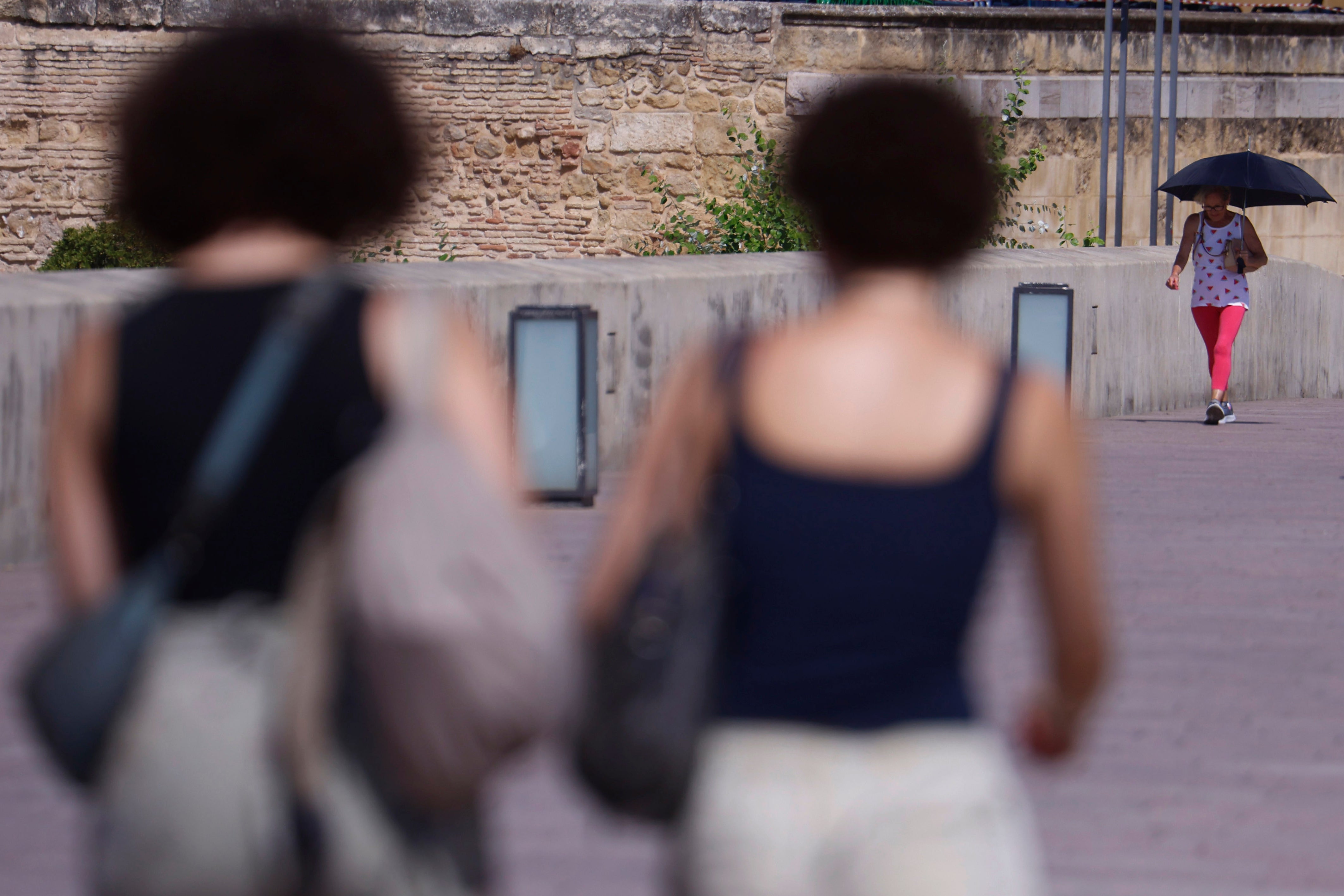 Agosto de 2026, el más cálido desde que hay registros en la Comunitat Agosto de 2026, el más cálido desde que hay registros en la Comunitat