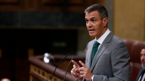El presidente del Gobierno, Pedro S&aacute;nchez, durante su comparecencia en el Congreso/ EFE/ Chema Moya