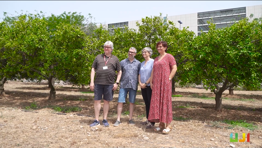 L’UJI lidera un consorci europeu per a generar línies de cítrics modificades geneticament amb una major resiliència al canvi climàtic i als efectes de plagues i malalties L’UJI lidera un consorci europeu per a generar línies de cítrics modificades geneticament amb una major resiliència al canvi climàtic i als efectes de plagues i malalties