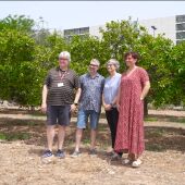 L’UJI lidera un consorci europeu per a generar línies de cítrics modificades geneticament amb una major resiliència al canvi climàtic i als efectes de plagues i malalties