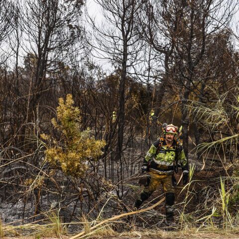 Un bombero realiza labores de extinción de incendios, a 28 de agosto de 2026, en El Saler (Valencia).