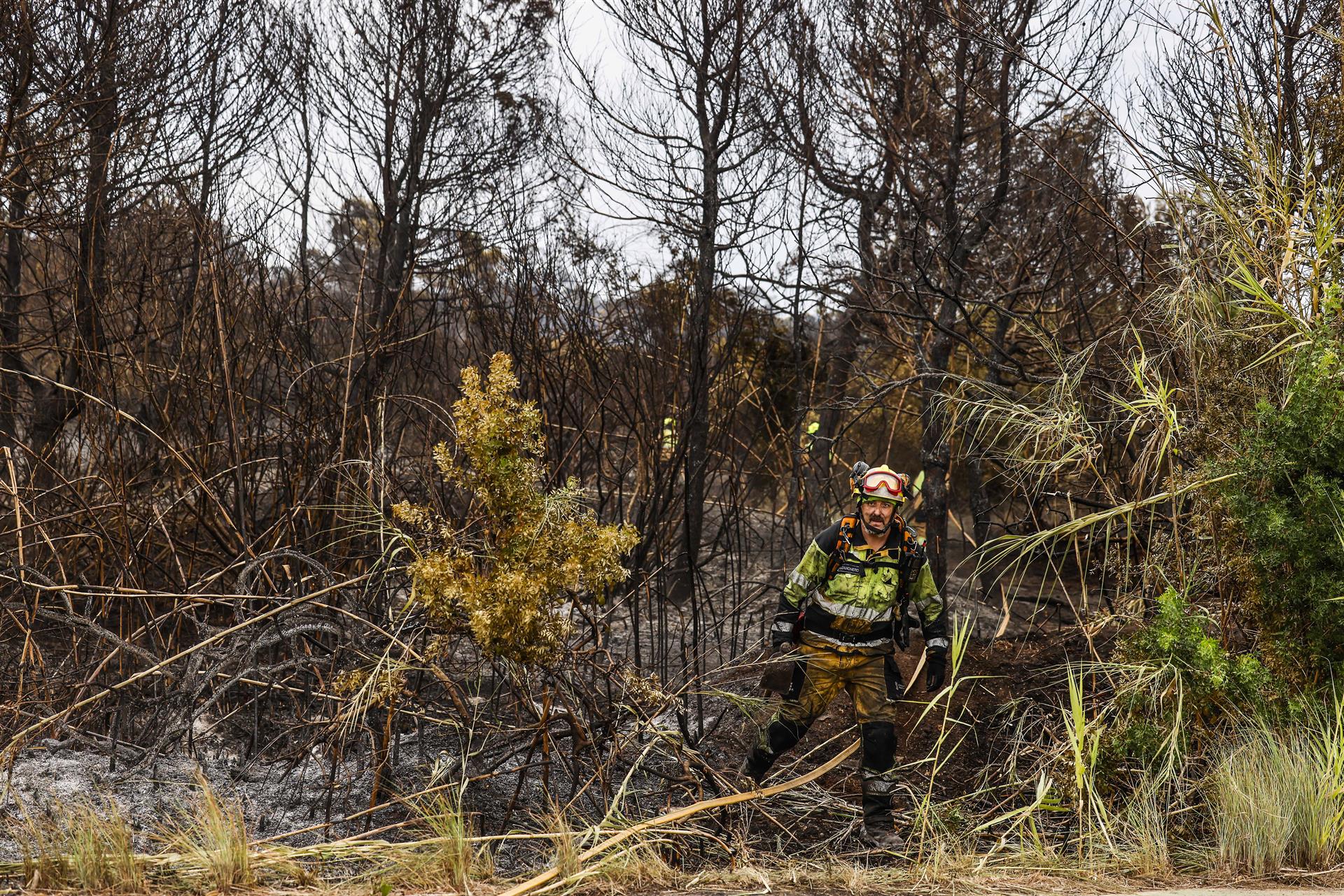 El Consell estudia un plan de reforestación como el de la Vall d'Uixó para los incendios de Tírig, Segorbe y El Saler El Consell estudia un plan de reforestación como el de la Vall d'Uixó para los incendios de Tírig, Segorbe y El Saler