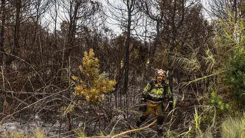 Un bombero realiza labores de extinción de incendios, a 28 de agosto de 2026, en El Saler (Valencia). Un bombero realiza labores de extinción de incendios, a 28 de agosto de 2026, en El Saler (Valencia).