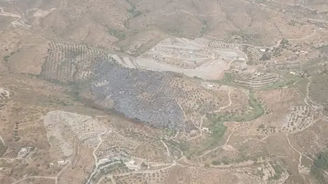 Extinguido el incendio en Vélez de Benaudalla tras afectar a 5,2 hectáreas de terreno agrícola Extinguido el incendio en Vélez de Benaudalla tras afectar a 5,2 hectáreas de terreno agrícola