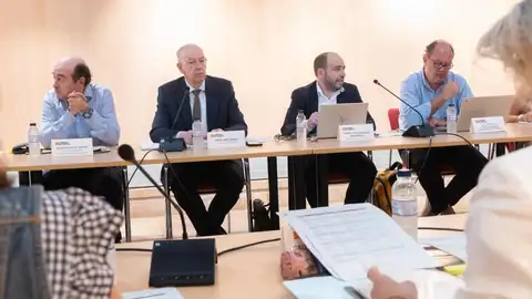 Saniz en la reunión del pleno del Consejo de Salud Saniz en la reunión del pleno del Consejo de Salud